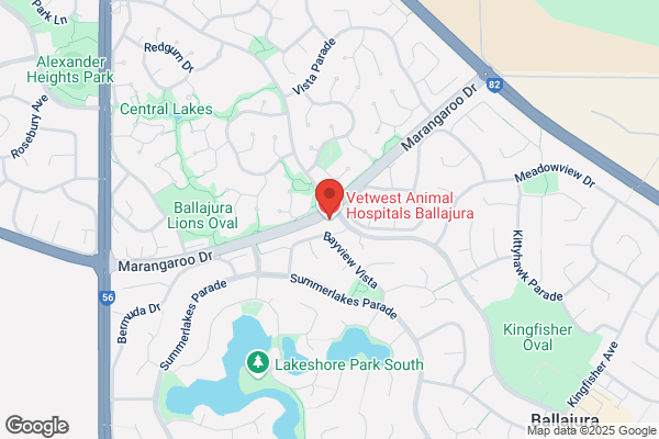 Ballajura Veterinary Hospital