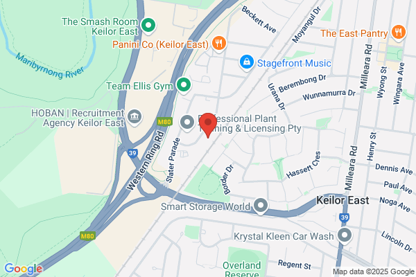 Abelia Landscaping