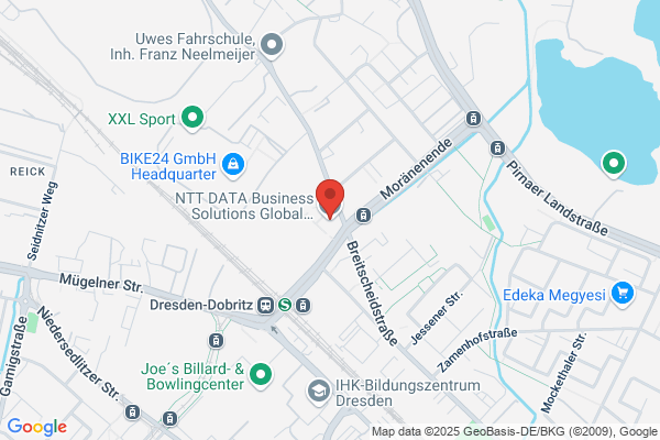 Global Business Intelligence