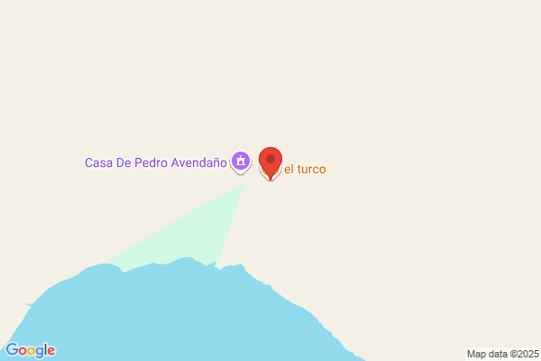 Del Fuego