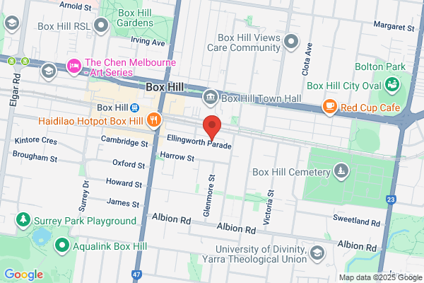 Fenton S J