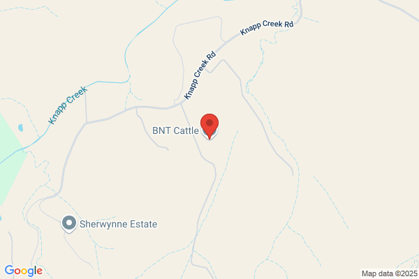 Gunthorpe Cattle Company