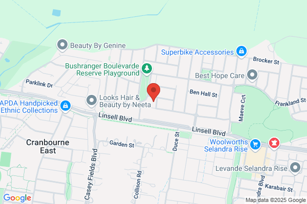 Dave Buzza Auto Electrical