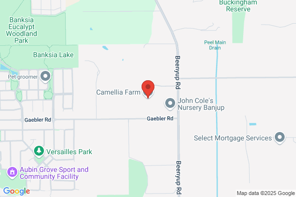 Camellia Farm