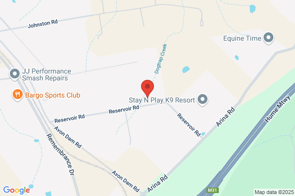 A1 AMUSEMENT HIRE