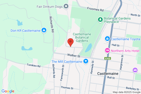 Castlemaine Health