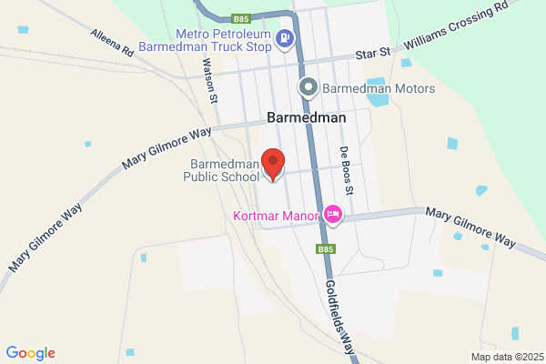 Barmedman Public School