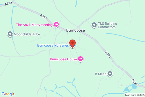 Bonoona Nursey