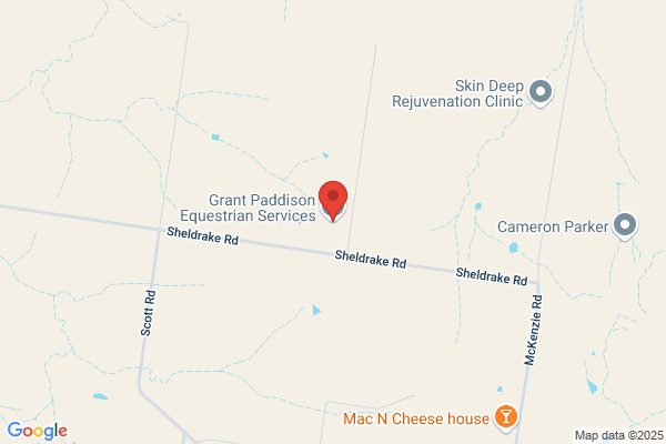 Grant Paddison Equestrian Services