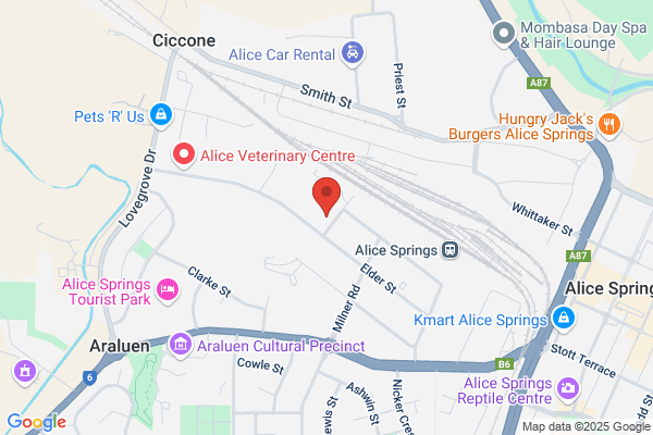 Alice Springs Diesel Repairs