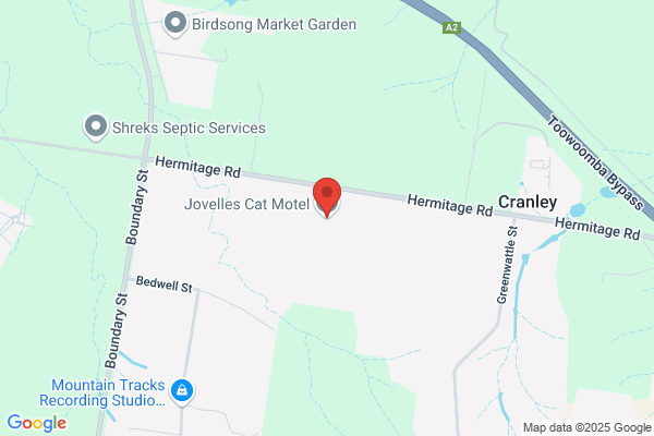 Granvale Cattery