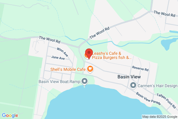 Basin View Video
