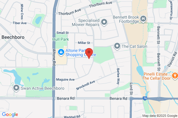 Carpet Cleaning Bassendean