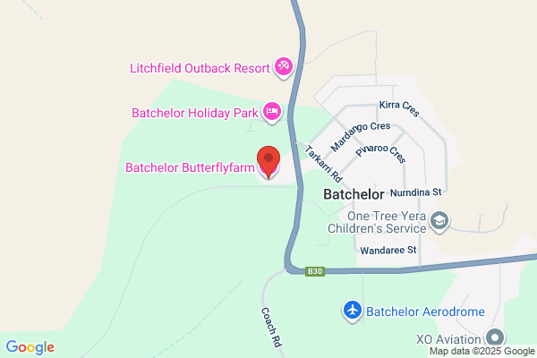 Batchelor Butterfly Farm Accommodation & Restaurant