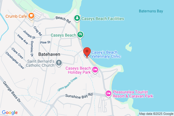 ,Casey's Beach Veterinary Clinic