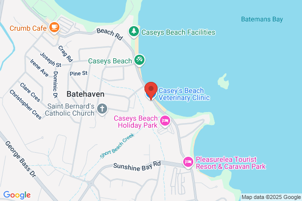 Caseys Beach Veterinary Clinic