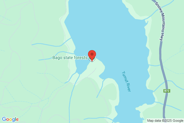 Blowering Forestry Holiday Camp