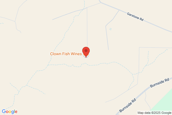 Clown Fish Wines