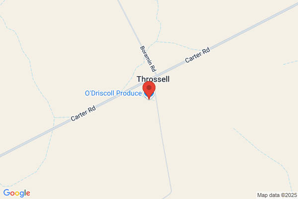 Driscoll Pastoral Co