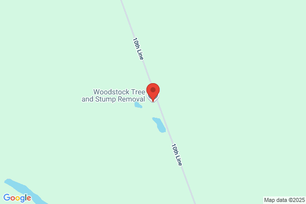 Woodstock Tree and Stump Removal