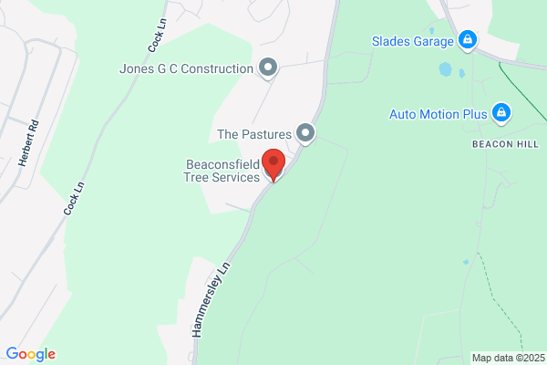 Beaconsfield Tree Services