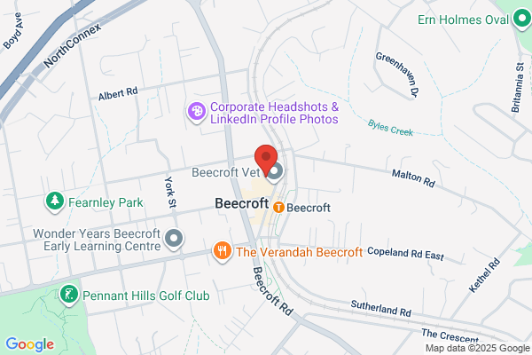 McConnell Dental Beecroft