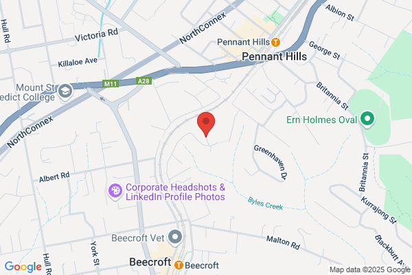 Hans Hediger Electrical