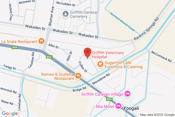 Griffith Veterinary Hospital