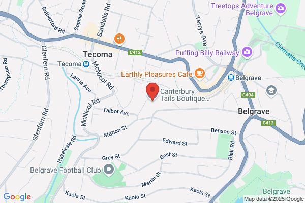 Canterbury Tails Boutique Boarding Cattery