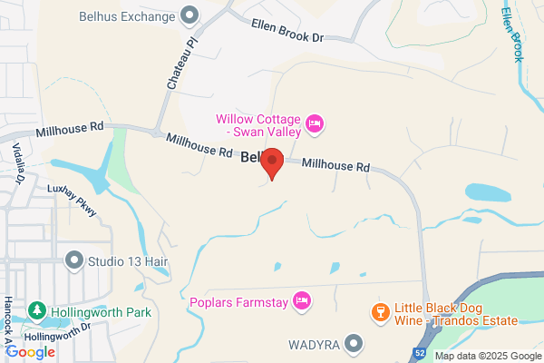Ellen Vale Alpacas