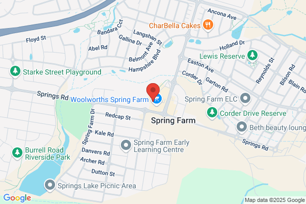 Domino's Pizza Spring Farm