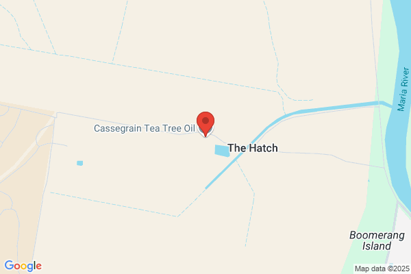 Cassegrain Tea Tree Oil