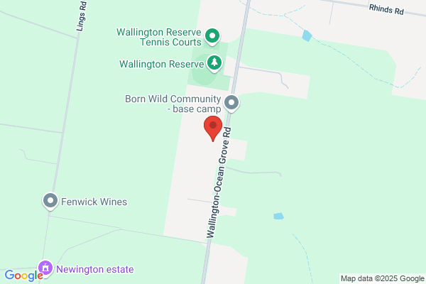 Bellarine Peninsula Auto Electrics