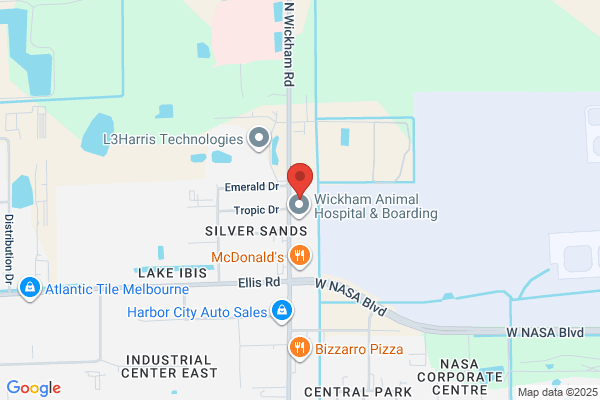 Frank's-A1-Cycles
