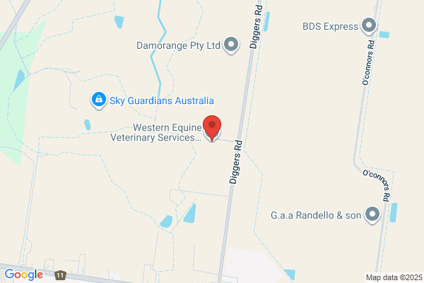 Cavallo Equine Vet Service