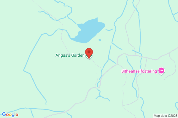 Dungay Park Angus