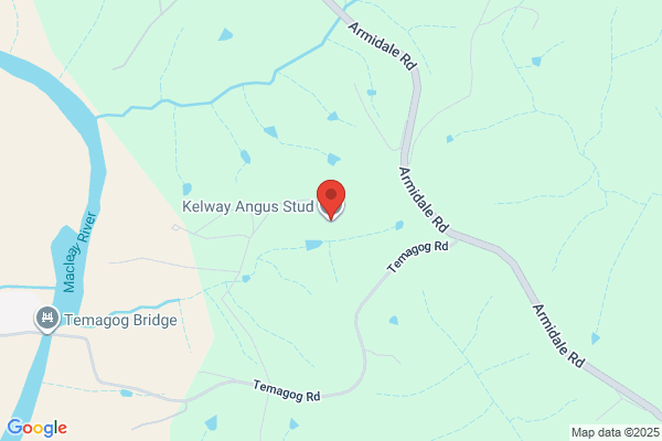 Kelway Angus Stud