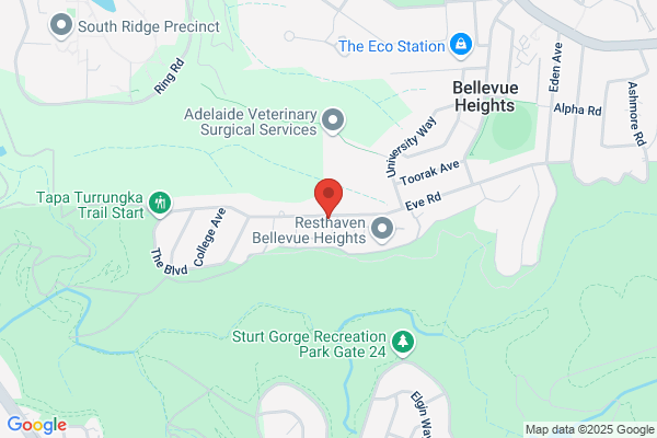 Bedford Medical Clinic