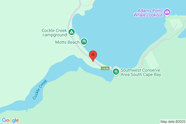 Cockle Creek Brassierie