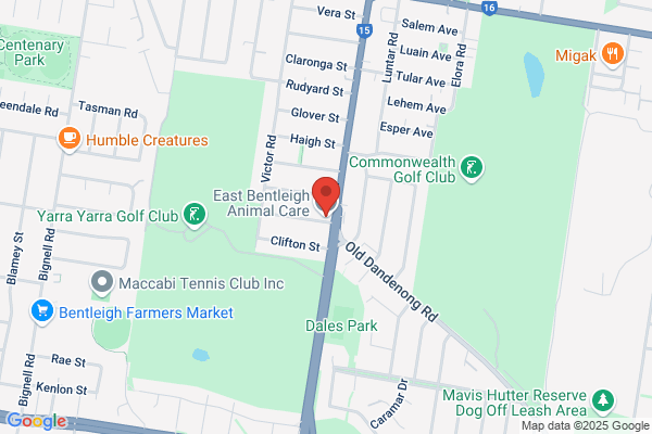 East Bentleigh Animal Care