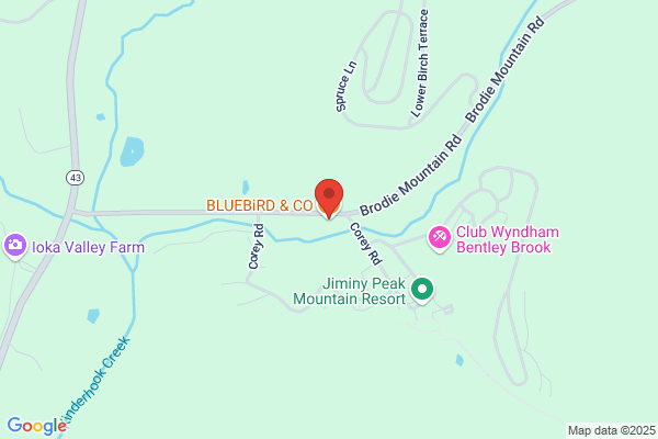 Bluebird Take Away