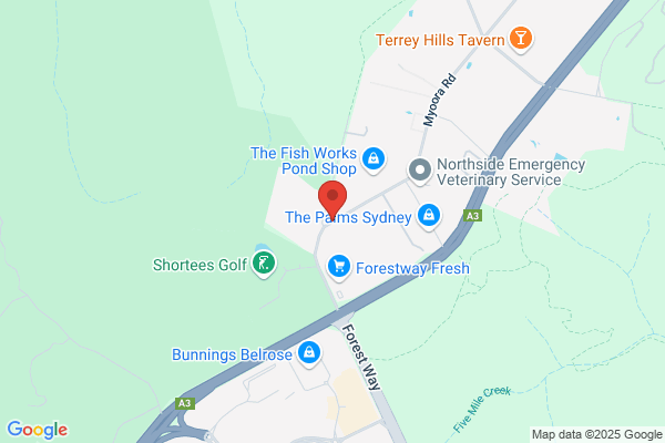 Forest Coach Lines Pty Ltd