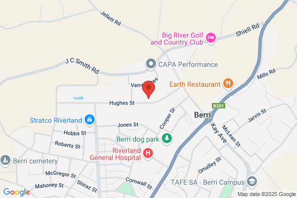 Berri Diesel Injection Service Pty Ltd
