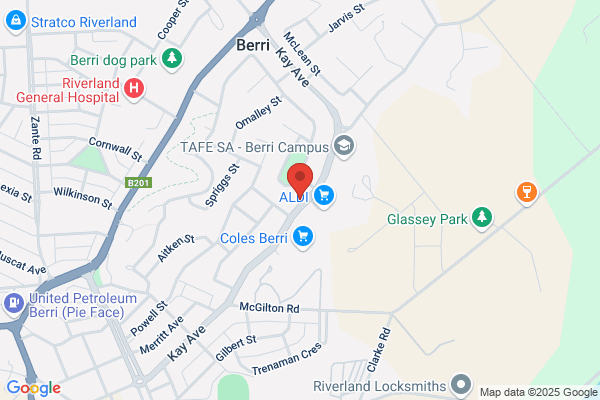 Berri Veterinary Hospital & Emergency Centre