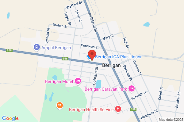 Berrigan Plant Shop