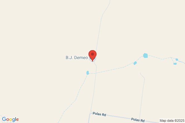 Demeo B J