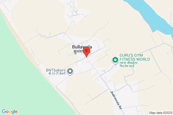 Bilbul Public School