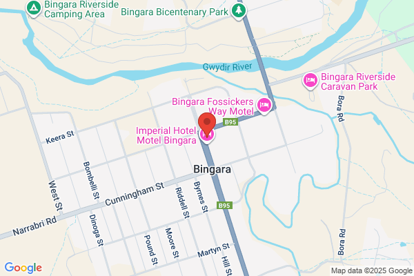 Bingara Cypress Pine
