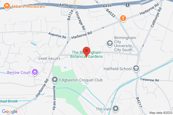 Pool Cleaning Newcastle