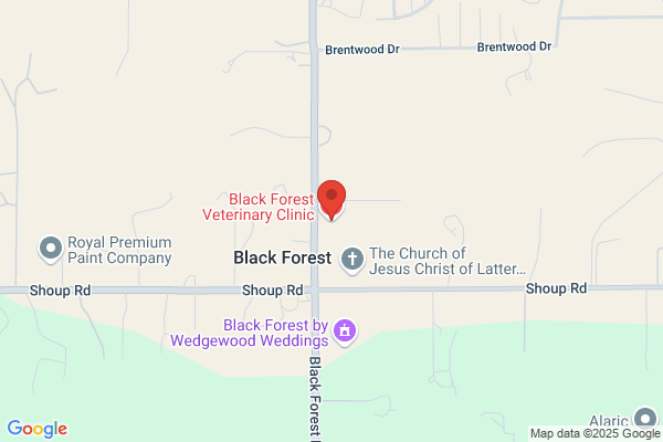 Black Forest Veterinary Surgery